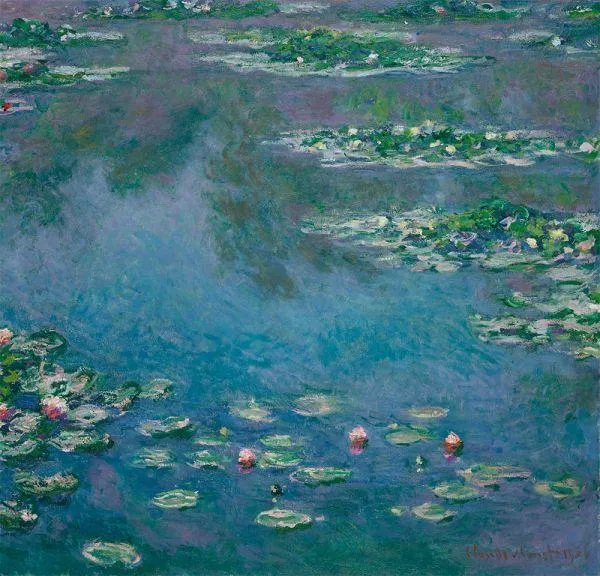 Water Lilies